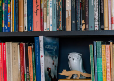 Książki na półce z figurką sowy pomiędzy nimi